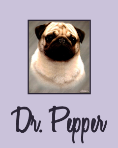 Ch. Brenich I Wanna BA Pepper Too