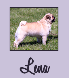 Hu-Chu For Your Eyes Only - "Lena"