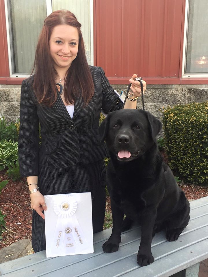 Dasher, Sporting Group 4, May 2016