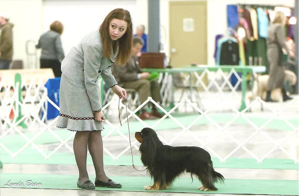 GCH "Gordon"