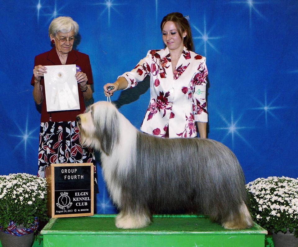 Multiple Group Placing, Multiple Supported Entry BOB Winning GCH. "Mac"