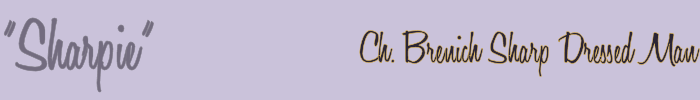 Ch. Brenich Sharp Dressed Man - "Sharpie"